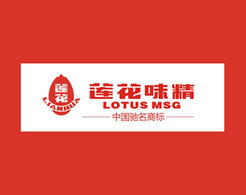 福來(lái)品牌營(yíng)銷(xiāo)策劃公司 2013年全案營(yíng)銷(xiāo)策劃回顧與展望